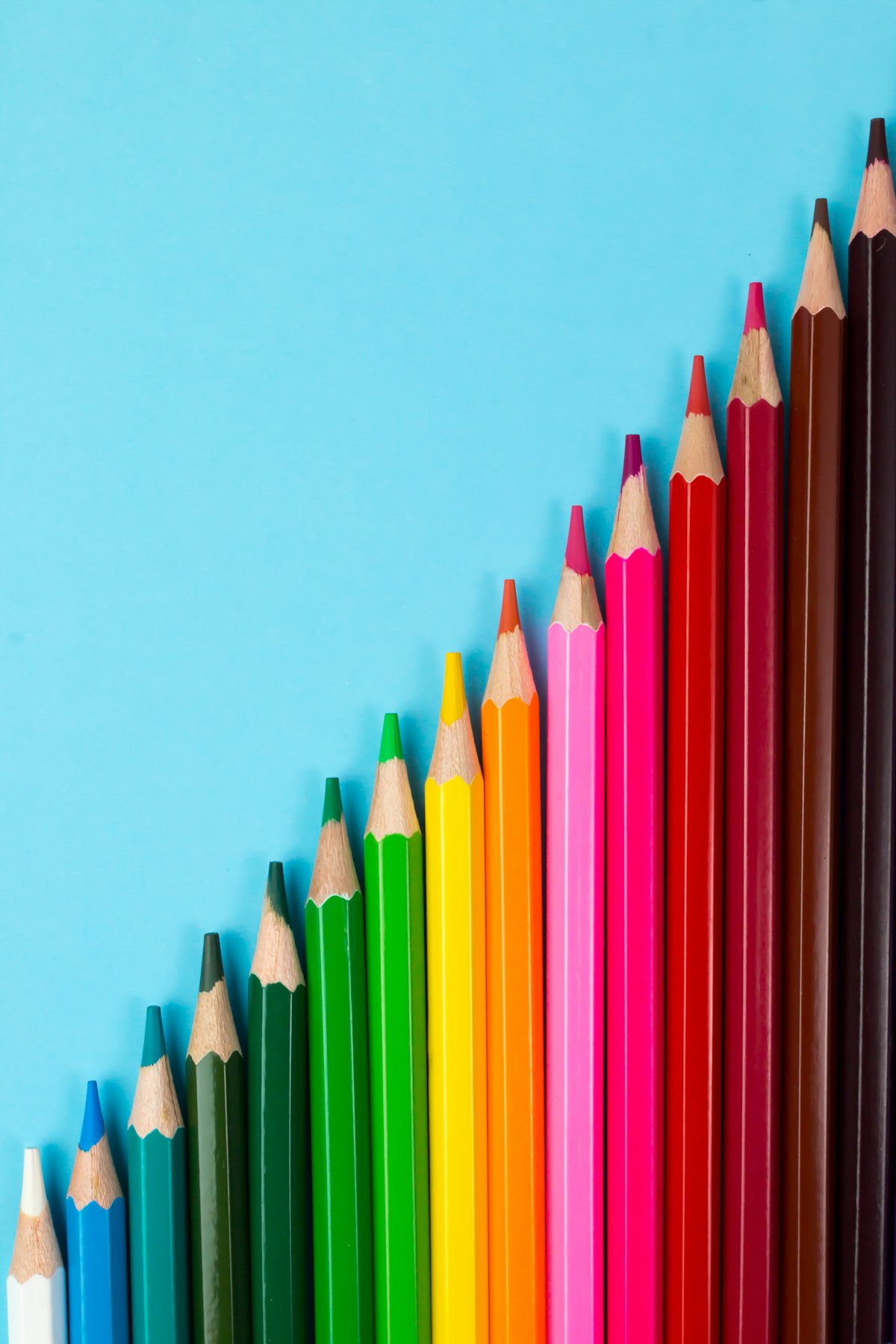 Lápices de Colores x24