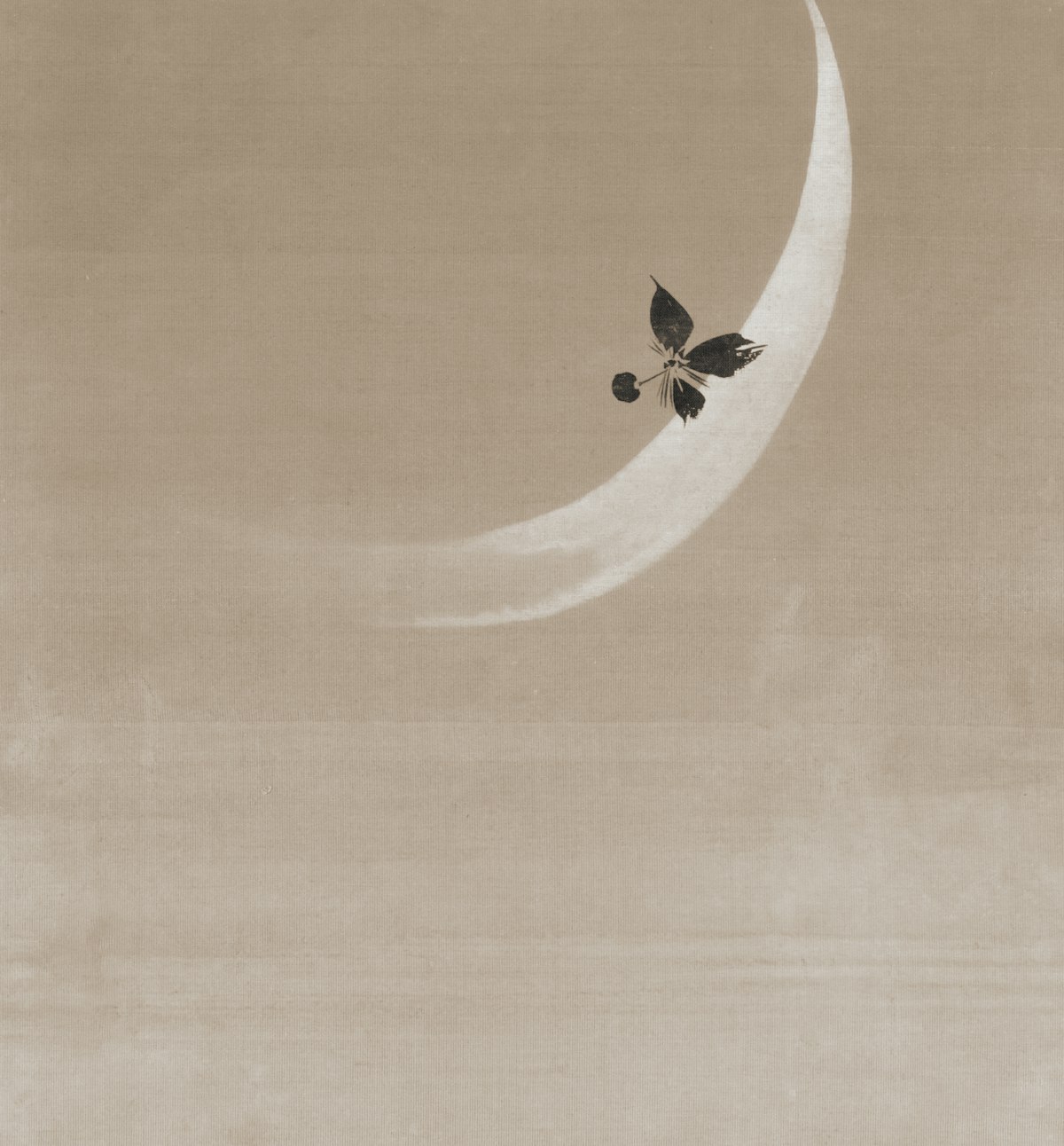 La Luna Curiosa